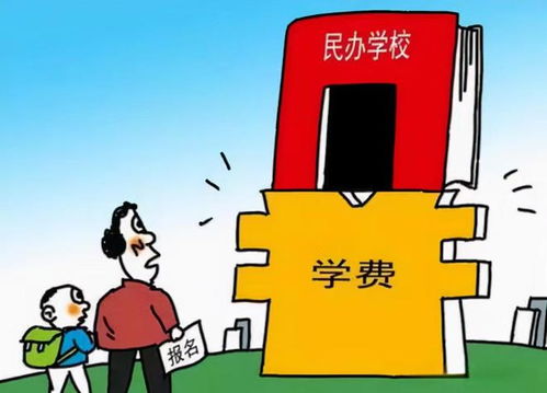 安徽多所民辦本科高校征集計劃800人以上,民辦高校遭遇集體寒冬