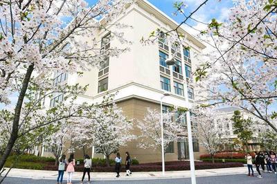 2019浙江省民辦大學綜合實力分析 哪家民辦高校更勝一籌？