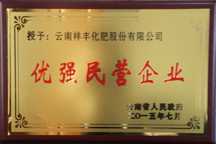 云南第八屆百戶優(yōu)強民營企業(yè)與百名優(yōu)秀民營企業(yè)家名單揭曉，祥豐集團再獲佳績，民辦高校亦展風采